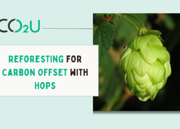 Reforesting for Carbon Offset with Hops