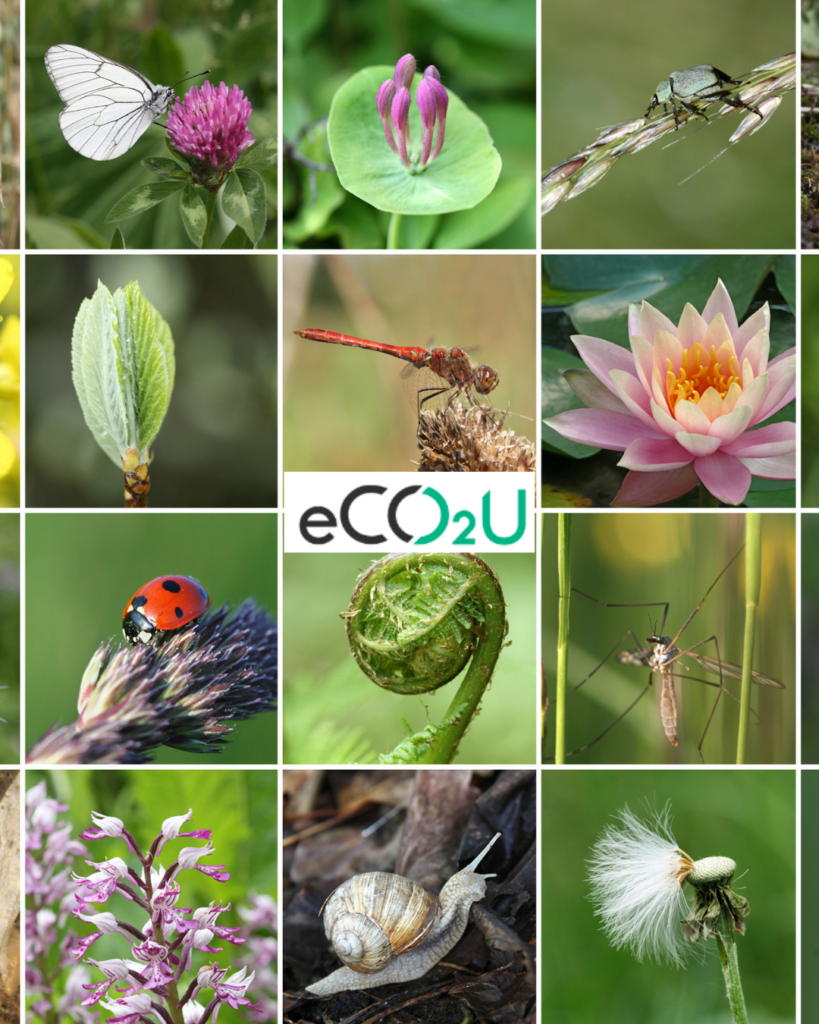 Biodiversity eCO2U