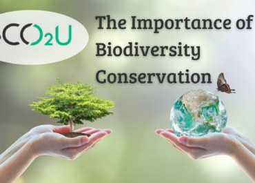 The Importance of Biodiversity Conservation