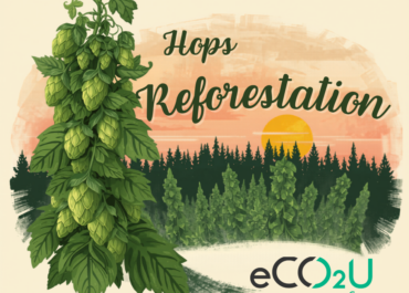 Reforesting for Carbon Offset with Hops: What Makes a Project Credible
