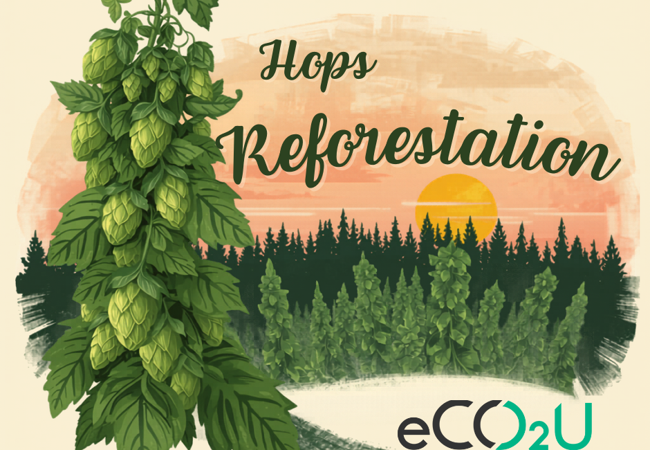 Reforesting for Carbon Offset with Hops: What Makes a Project Credible